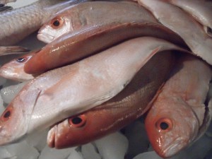 morelia-market-fish1