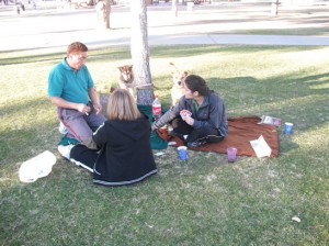 new-years-day-at-the-park-playing-cards-and-reading