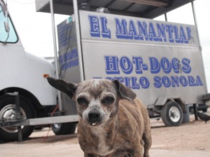 mexican-hotdog