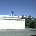 greyhound-park-032710