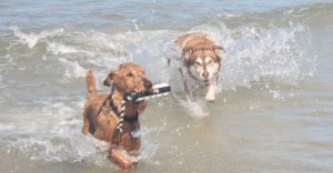 tila-and-walcott-fun-in-the-water-san-carlos-may-2010