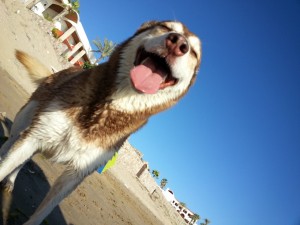 kino playa 12